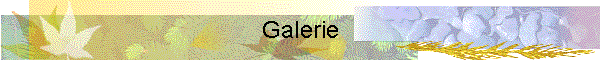 Galeries